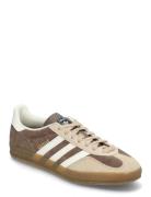 Adidas Originals Adidas Gazelle Indoor Brun