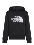 The North Face B Drew Peak P/O Hoodie Svart