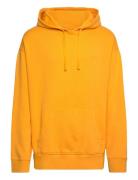 GANT Logo Hoodie Gul