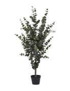 House Nordic Lani - Artificial Plant, Green H:120 Cm Grön