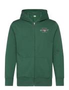 GANT Graphic Fullzip Hoodie Grön