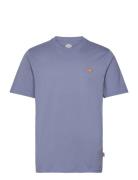 Dickies Ss Mapleton T-Shirt Blå