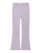Creamie Pants Rib Lila