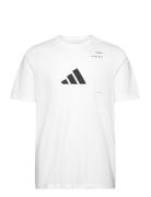 Adidas Tennis Tennis Graphic Tee Vit