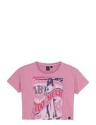 Indian Blue Jeans T-Shirt Wide Cropped Rosa