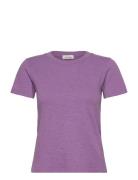 American Vintage Sonoma Lila