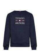 Tommy Hilfiger Tommy Flag Hilfiger Sweatshirt Marinblå