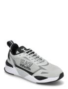 EA7 Sneaker Grå