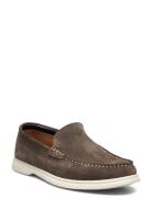 Dune London Buftonn Brun