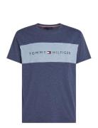 Tommy Hilfiger Ss T-Shirt Block Logo Marinblå