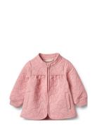Wheat Thermo Jacket Tilde Rosa
