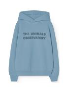 THE ANIMALS OBSERVATORY Taurus Kid Hoodie Blue Blå
