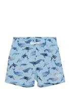 Color Kids Swim Shorts, Aop Blå