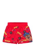 Paw Patrol Swimsuit Multi/patterned