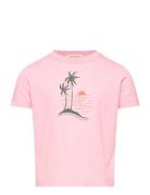 THE ANIMALS OBSERVATORY Big Rooster Kid T-Shirt Pink 14Y Rosa