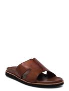 Dune London Insight Brun