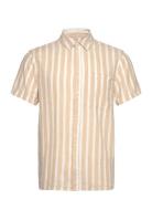 Solid Sdfried Beige