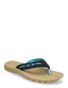 OAKLEY Operative Sandal 2.0 Svart