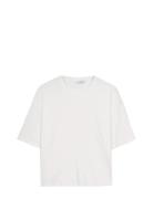 Ivo Nikkolo Short Sleeve Jersey, Jenen Vit