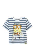 Name It Nkmmansa Spongsb Nreg Ss Top Box Cplg Blå