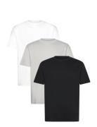 Hollister Hco. Guys Knits Multi/patterned