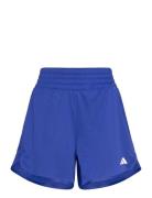 Adidas Performance Pacer Knit High Blå