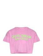 Mango T-Shirt .-- Oahu Rosa