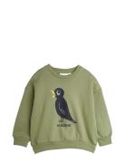 Mini Rodini Blackbird Sp Sweatshirt Grön