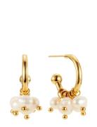 By Jolima Palma Mini Hoop Guld