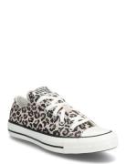 Converse Chuck Taylor All Star Multi/patterned