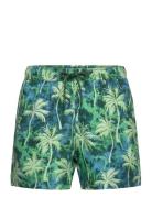 Björn Borg Borg Print Swim Shorts Grön