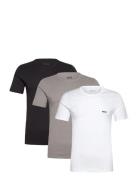 BOSS Tshirtrn 3P Classic Multi/patterned