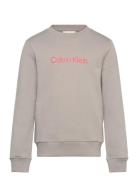 Calvin Klein Inst. Logo Regular Cn Beige