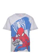 Spider-man Tshirt Grå