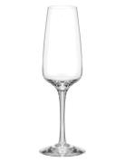 Orrefors Pulse Champagneglass 28Cl 2-Pack Nude