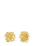Edblad Floral Studs L Gold Guld