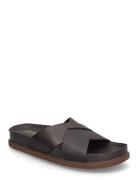 Clarks Torford Cross G Brun