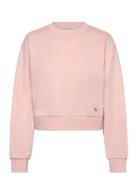 Calvin Klein Jeans A - Cropped Badge Logo Sweatshir Kräm