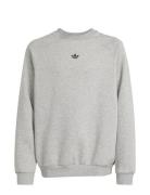 Adidas Originals Loose Crew Grå