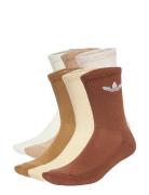 Adidas Originals Tr Crew S 6P Brun