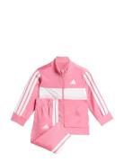 Adidas Sportswear I 3S Tib Ts Rosa