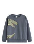 Lindex Sweatshirt Dino Placement Grå