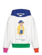 Ralph Lauren Kids Lw Magic Fleece-Bearbbblhd-Kn-Sws Vit