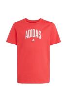 Adidas Sportswear J Colleg T Röd