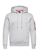 Alpha Industries Back Print Hoodie Grå