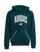 Adidas Sportswear J Clgt Oh Fl Hd Grön