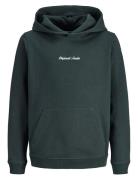 Jack & J S Jornorrebro Emb Sweat Hood Noos Jnr Khaki Green