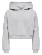 Kids Only Kogsweat L/S Hoodie Short Swt Noos Grå