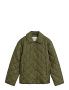 GANT Quilted Jacket With Collar Khaki Green