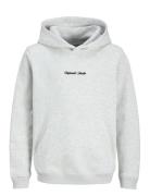 Jack & J S Jornorrebro Emb Sweat Hood Noos Jnr Grå